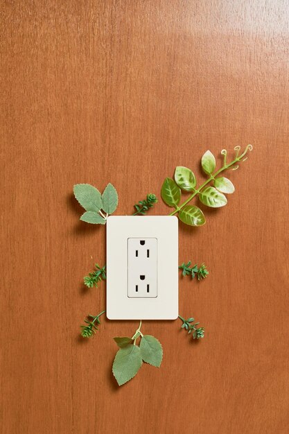 植物グリーン電気コンセプト再生可能エネルギーの持続可能性と電気プラグ