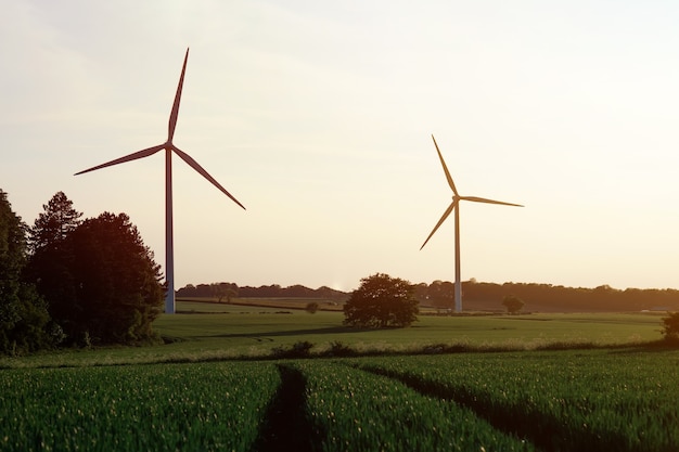 イギリスの曇った青い空を背景に緑の野原にある発電風車