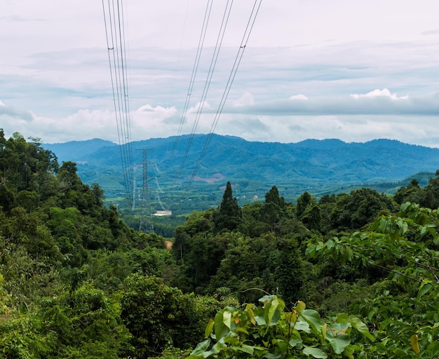 Electricity pylon amidst trees against cloudy sky