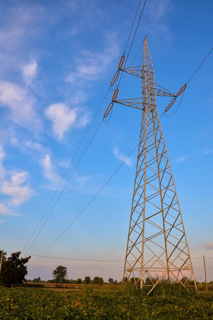 Electricity Pylon Pole