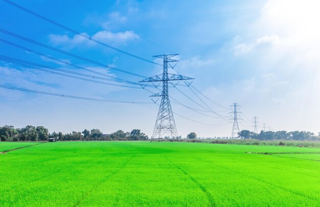 Electricity pylons on field against sky