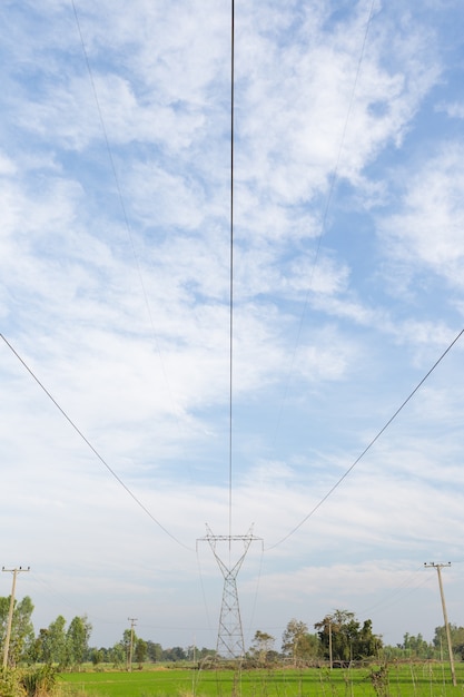 논에있는 전기 전송선