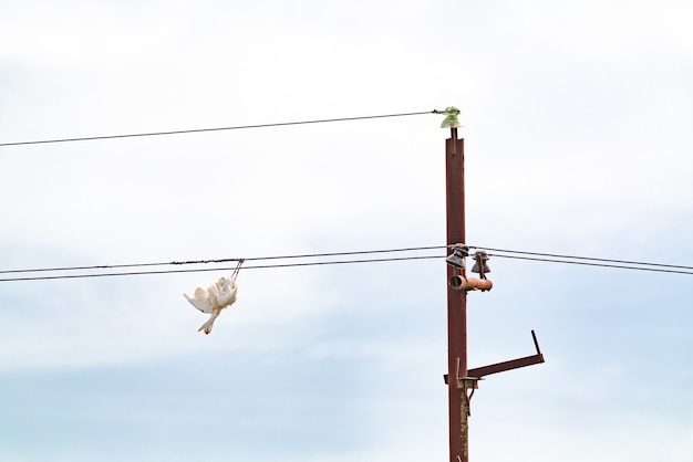 Uccello folgorato su un palo