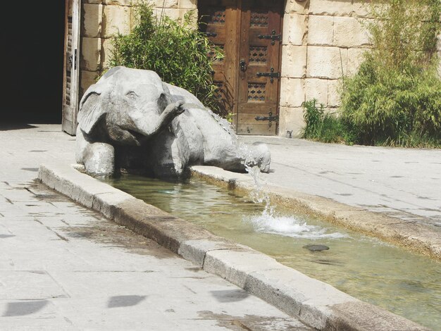 Foto elefantensculptuurfontein