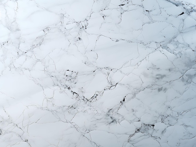 Elegant Background Marble Paper Gray and White Blank Elegant Marble Color Conce creative concept