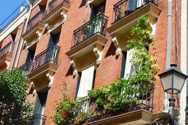 Elegant balconies with greenery on the retro building downtown Madrid Spain