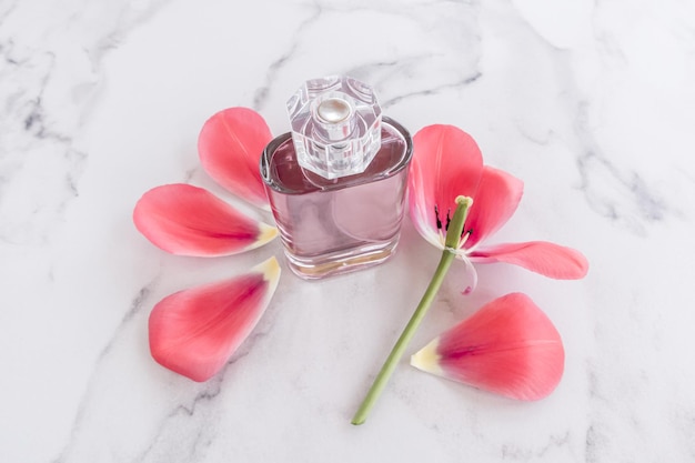 An elegant bottle of perfume cosmetics stands on a marble background surrounded by petals and a bud of a delicate tulip top view