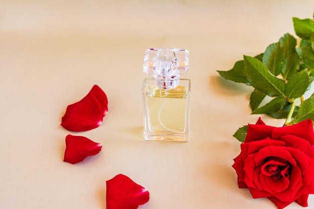 An elegant bottle of women's perfume or toilet water on a pastel background with a red rose and petals the concept of perfumery and beauty