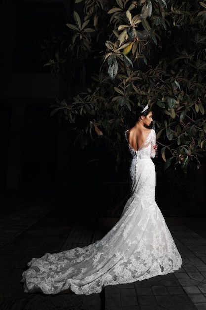 Elegant bride in a wedding dress