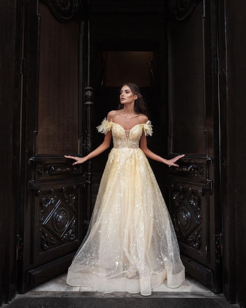 Elegant bride in a wedding dress