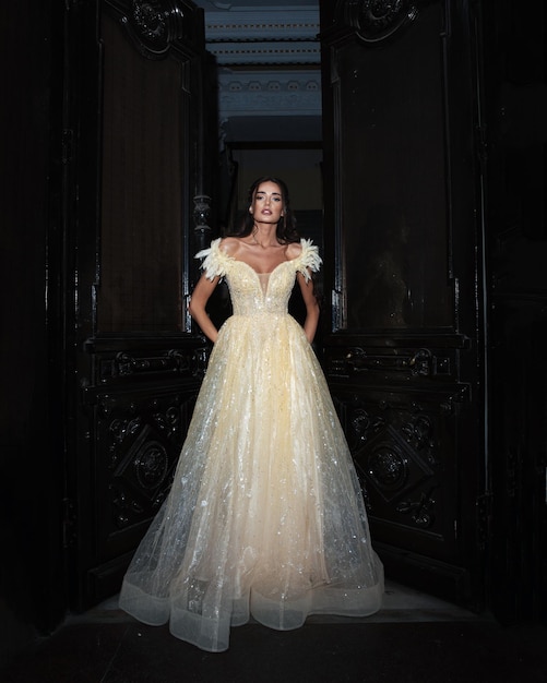 Elegant bride in a wedding dress