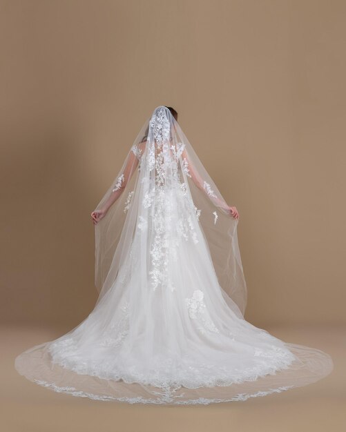 Elegant bride in a wedding dress