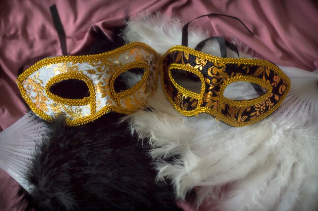 Elegant carnival background with masks and feathers fun