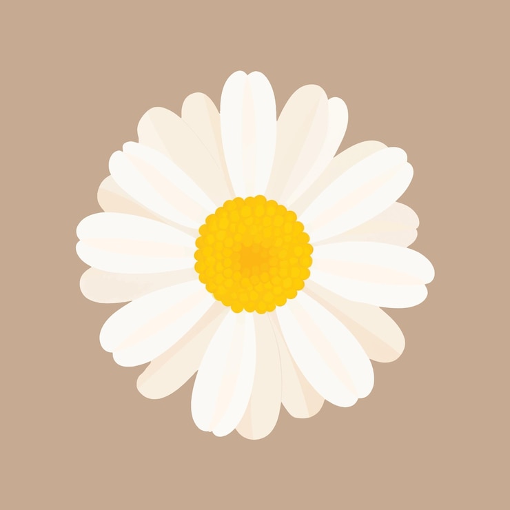 Photo elegant daisy flower illustration