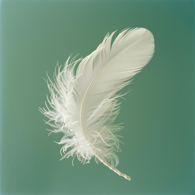 エレガントな羽毛が空中に浮かんでいる インテリア 緑の背景 エアリーコンセプト