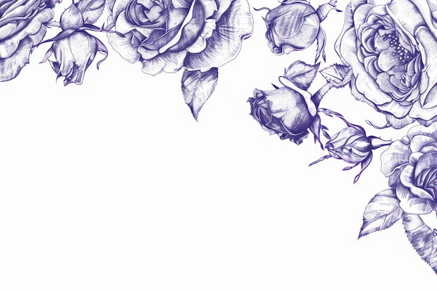 優雅な花の境界のイラスト