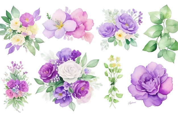 우아한 꽃 세트 다채로운 보라색 꽃 컬렉션과 잎과 꽃받침 꽃 세트의