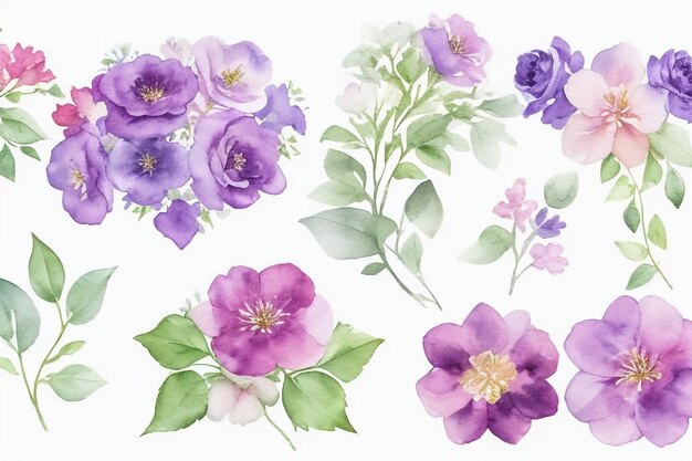 우아한 꽃 세트 다채로운 보라색 꽃 컬렉션과 잎과 꽃받침 꽃 세트의