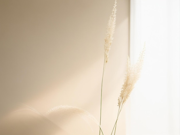 Elegant Floral Sunlight Shadow of Meadow Spikes