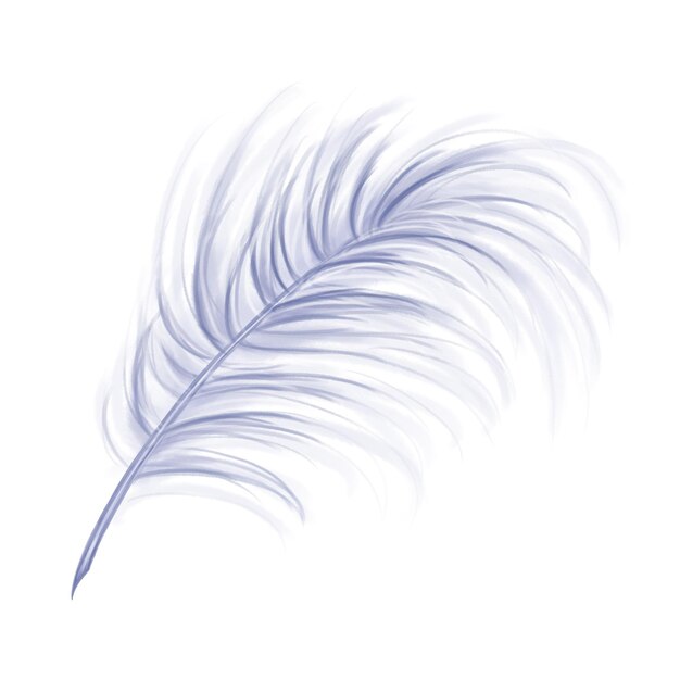 Elegant fluffy bluish feather of a swan goose Decorative element Digital illustration