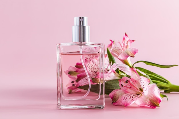 An elegant glass bottle of women's perfume or toilet water against the backdrop of fresh astromeria aroma presentation pink background front view