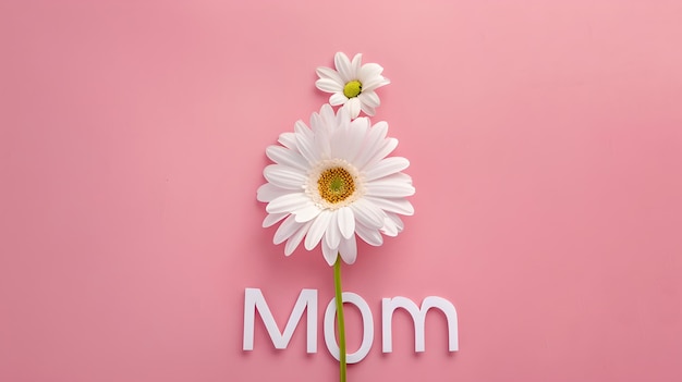 데이지와 엄마 텍스트를 가진 우아한 축하 카드 디자인 어머니의 날 또는 감사에 완벽한 분홍색 배경 AI에 간단하고 깨한 스타일