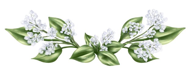 Elegant horizontal composition of green leaves and dried decorative flowers and gypsophila