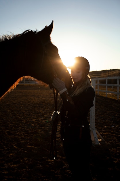 Elegant horse silhouette against dawn sky