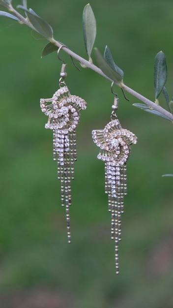 Elegant long earrings on an olive branch in nature