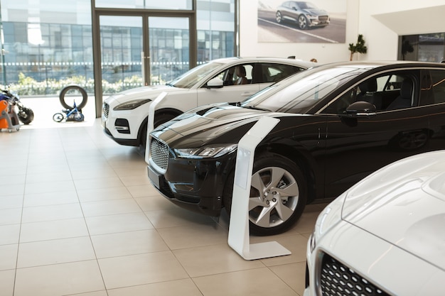 Elegant luxury cars for sale at dealership salon