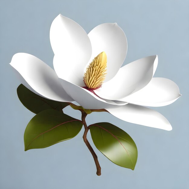 Elegant Magnolia Blossom Vector HD Illustration in Stunning 4K Resolution