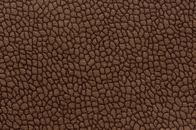 Elegant ornamental fabric texture in chocolate tone