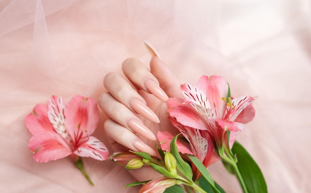 Elegant pastel pink natural manicure