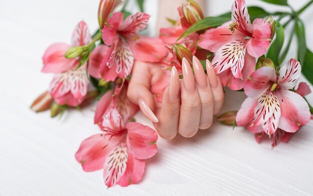 Elegant pastel pink natural manicure