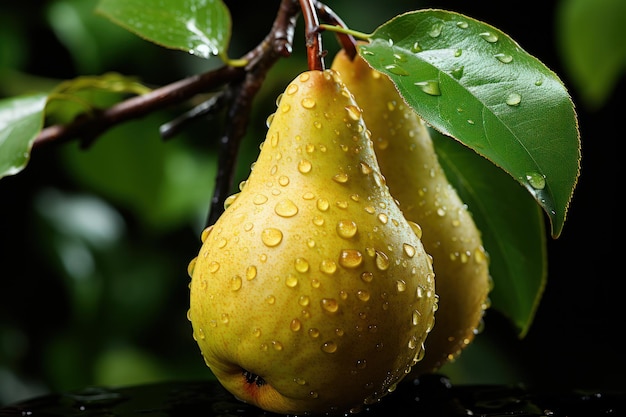 Elegant Pear Drops Pears with Water Droplets on a Black Background with Leaves Generative AI