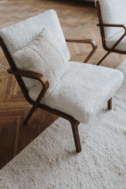 우아한 스칸디나비아 하이게 스타일 홈 거실 인테리어 아늑한 라운지 안락 의자 카펫 미적 럭셔리 밝은 아파트 인테리어 디자인 컨셉