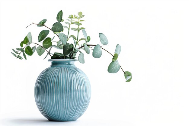 Elegant Vase Plant Decor