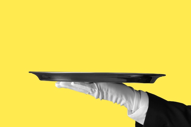 Elegant waiter hand in white glove holding an empty plate with  blank gradient background.