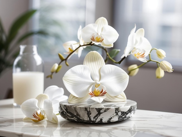 Элегантная белая орхидея на столе. Цветочная фотография.