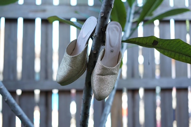 Elegant white wedding shoes