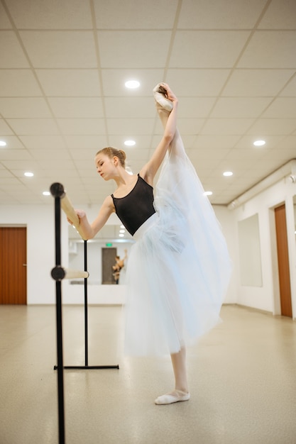 Elegant young ballerina works at the barre in class. Ballet school, female dancers on choreography lesson, girls practicing grace dance