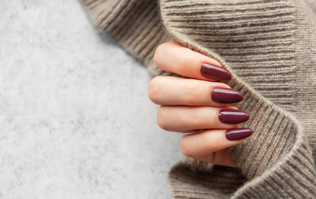 Elegante manicure met donkere bourgogne nagels tegen een zachte gebreide trui achtergrond in een gezellige binnenomgeving
