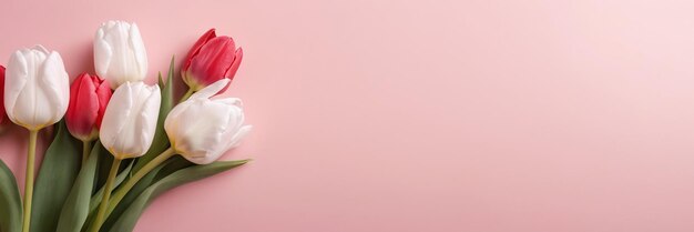 Elegante rode en witte tulpen op roze achtergrond perfect voor de lente bloemen en Moedersdag thema's