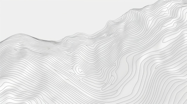 Elegante topografische lijnen vormen een serene monochromatische landschap