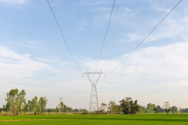 Elektriciteit transmissielijnen in rijstvelden