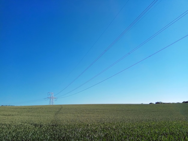 Elektriciteitslijnen op het veld