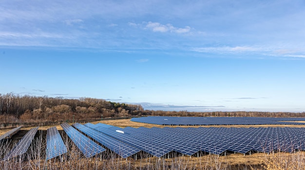 Elektrische boerderij met panelen voor het produceren van schone ecologische energie