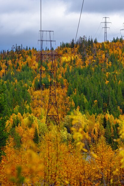 Elektrische hoogspanningslijn in de taiga in de herfst.