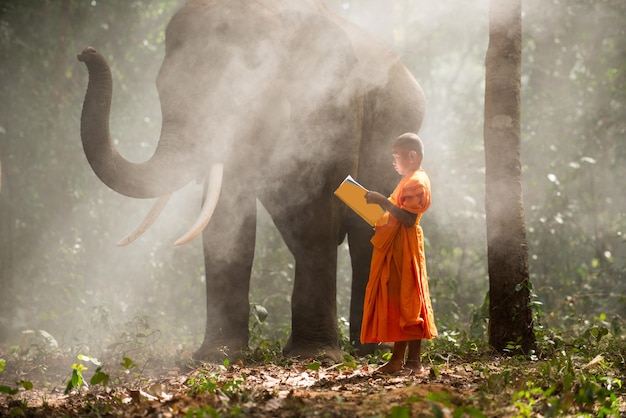 Elephant and buddist monchs in Thailand