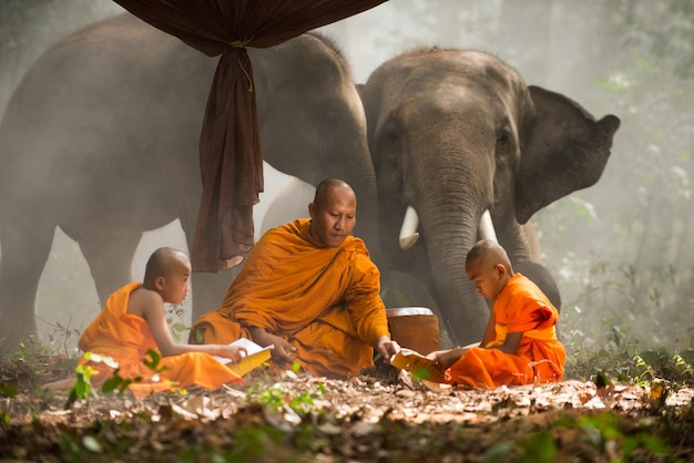 Elephant and buddist monchs in Thailand